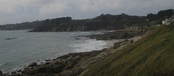 paysage.jpg